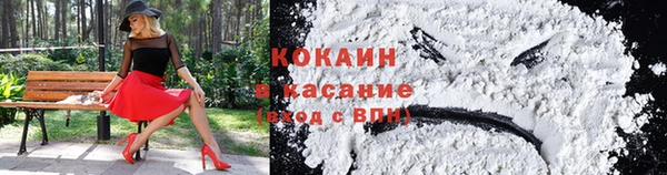 ПСИЛОЦИБИНОВЫЕ ГРИБЫ Богородицк